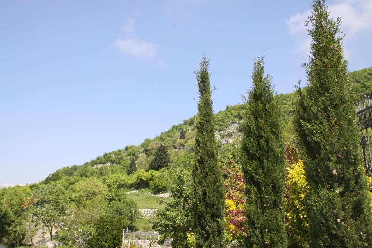 Villa Eagle Eye Montenegro Kotor Exterior photo